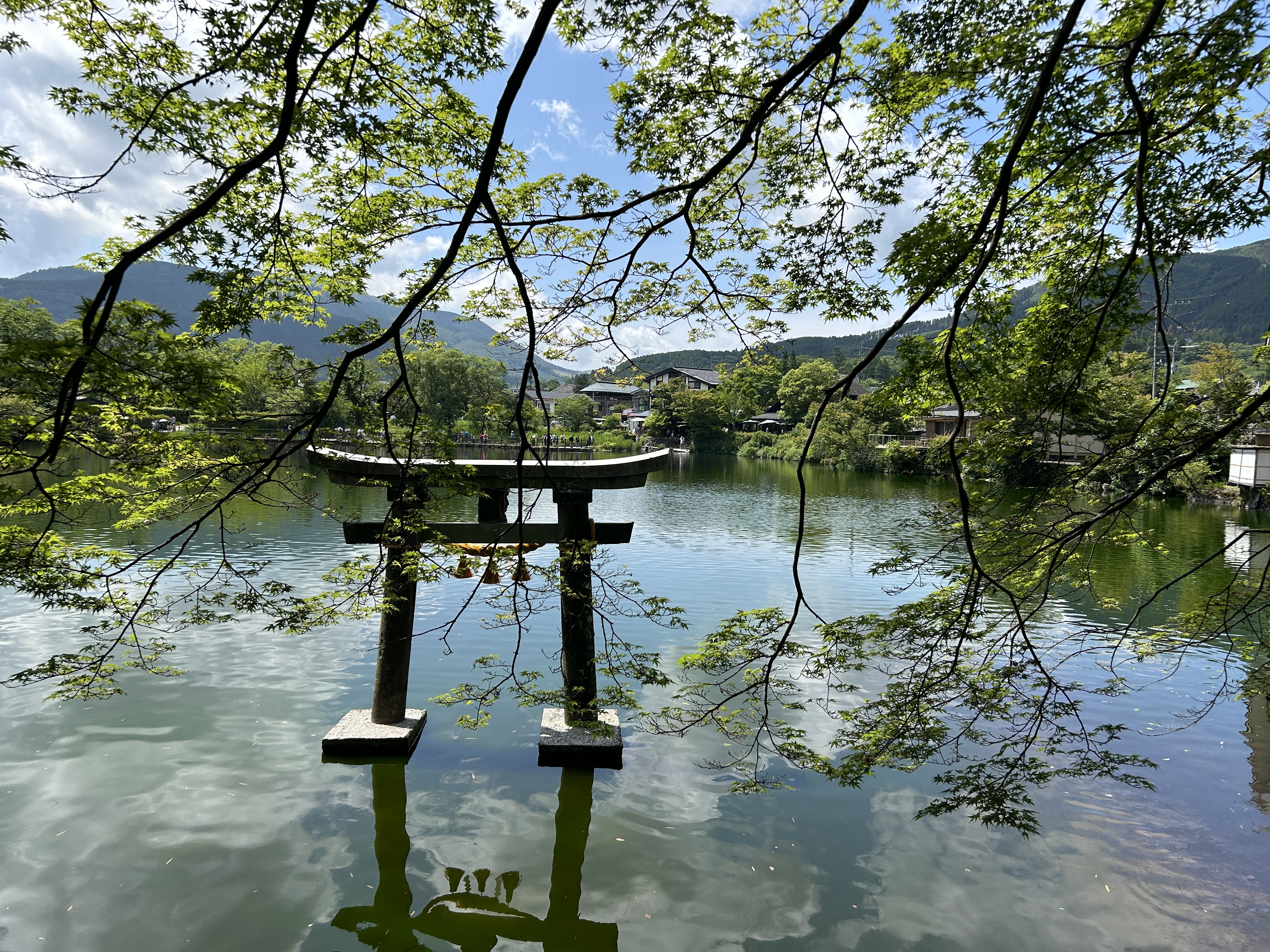 一年多的自我檢視